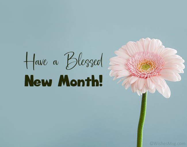 Top Best Collections of Happy New Month Messages